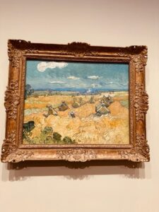 Filshie Clip Sterilisation Problems