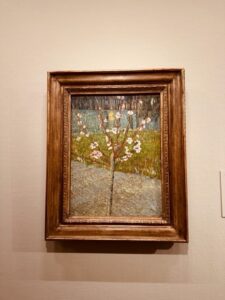 Sterilisation at C-Section Sterilisation at C-Section