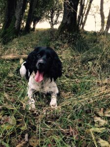 Cervical Cancer Risk 