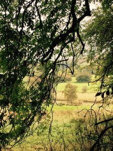 Glan Clwyd Hospital Compensation 